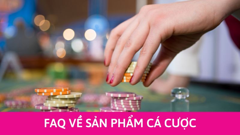 giải mã câu hỏi về Kucasino